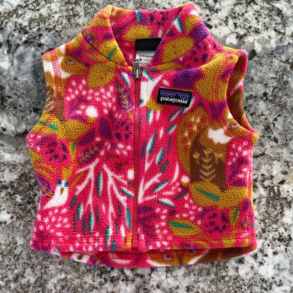 Patagonia Kids' Multicolor Fleece Vest